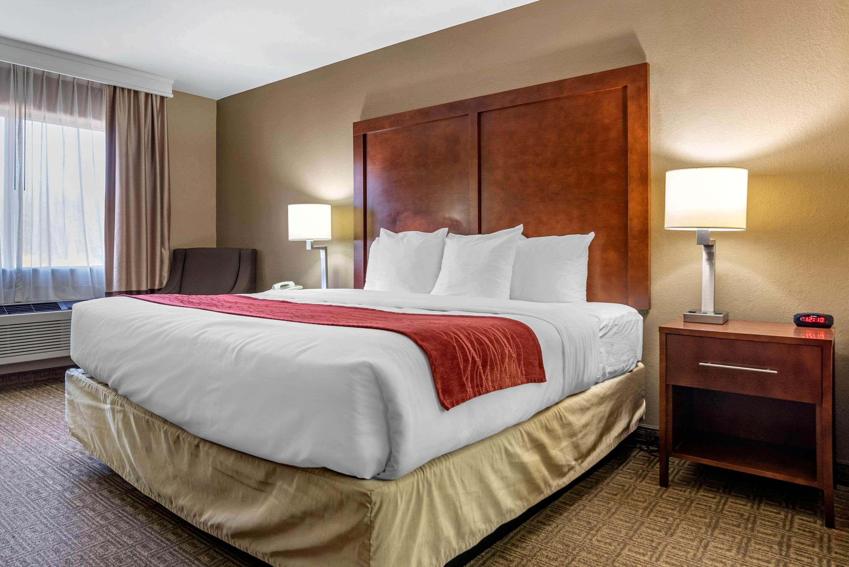 Comfort Inn & Suites Leeds I-20 Εξωτερικό φωτογραφία
