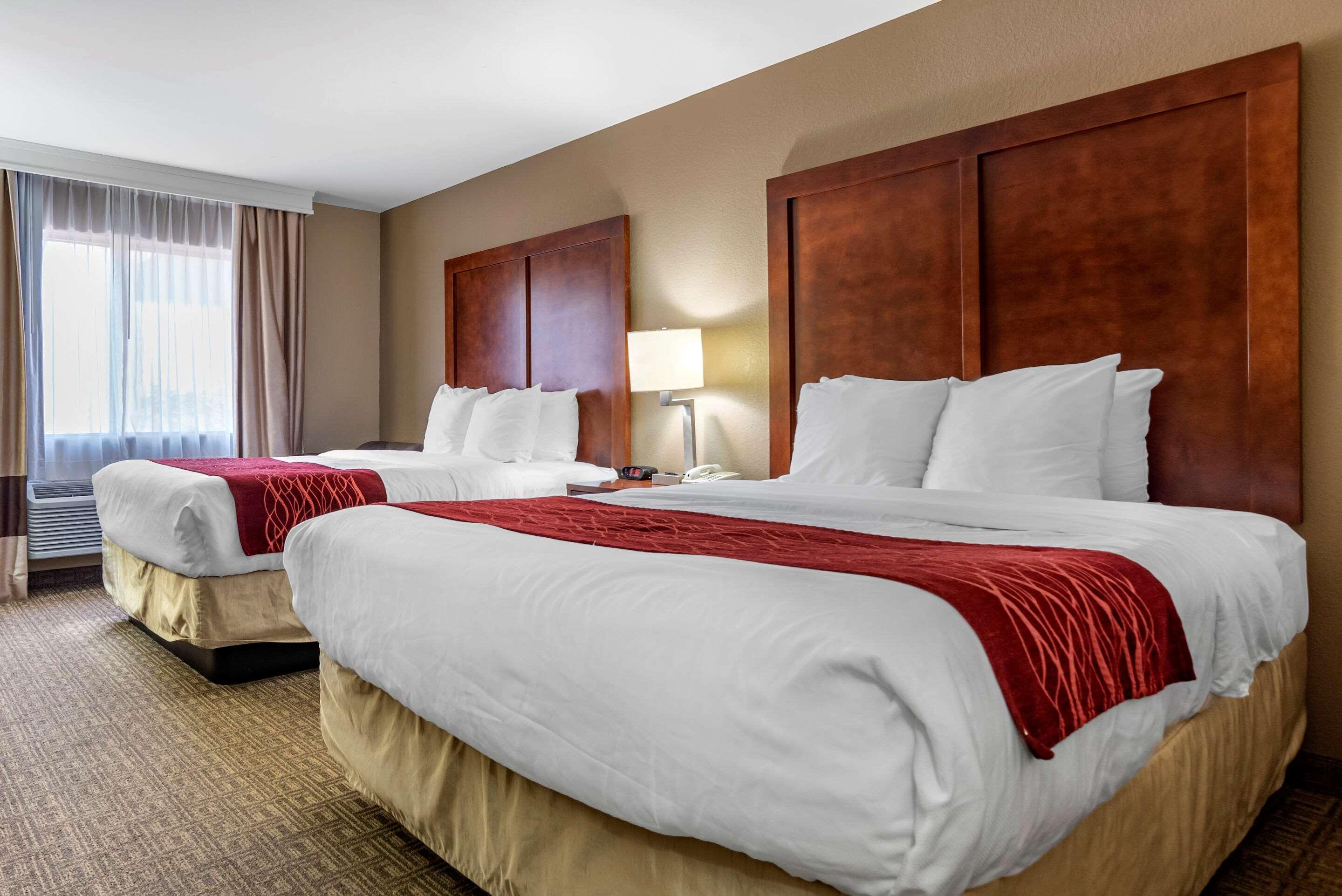 Comfort Inn & Suites Leeds I-20 Εξωτερικό φωτογραφία