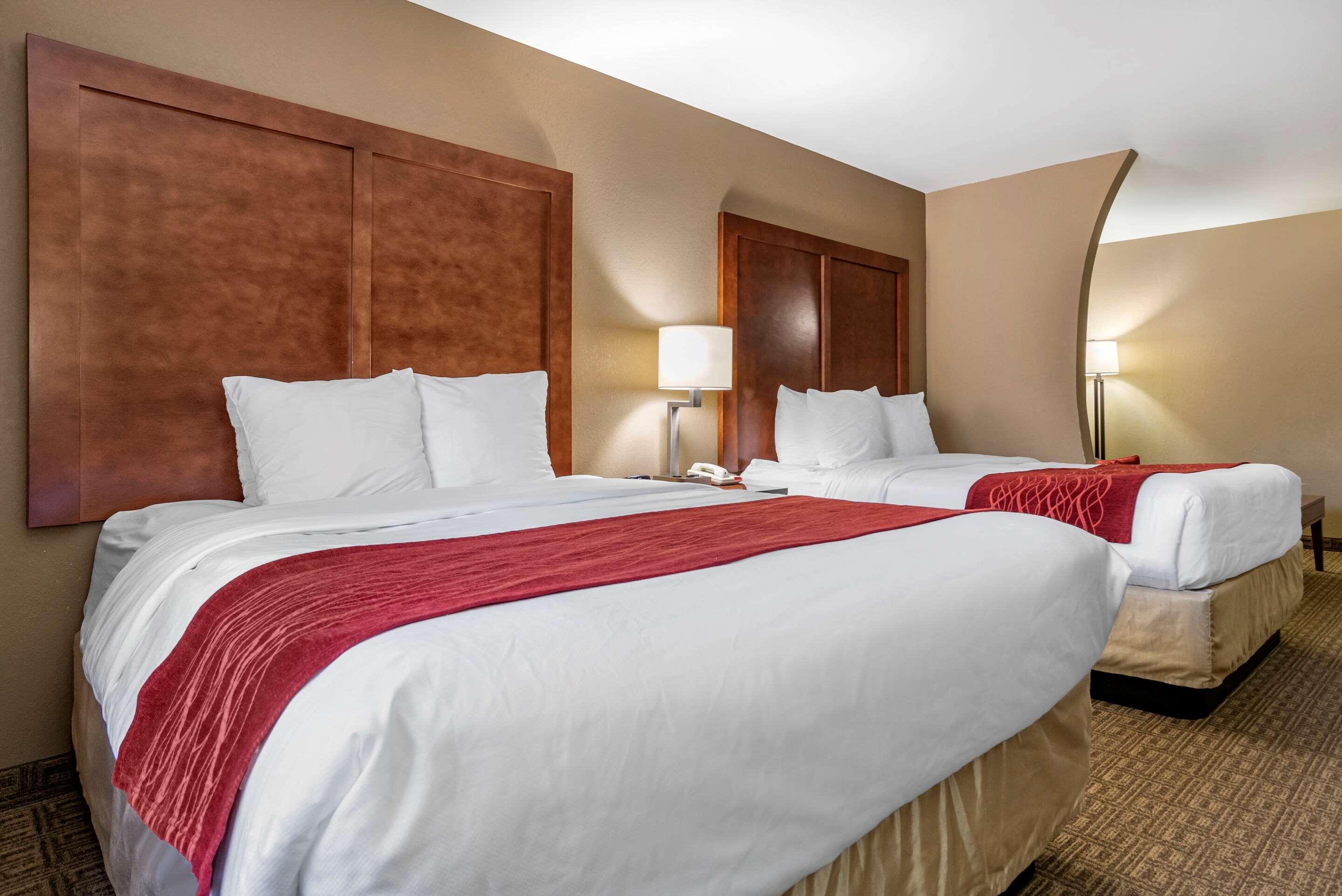 Comfort Inn & Suites Leeds I-20 Εξωτερικό φωτογραφία