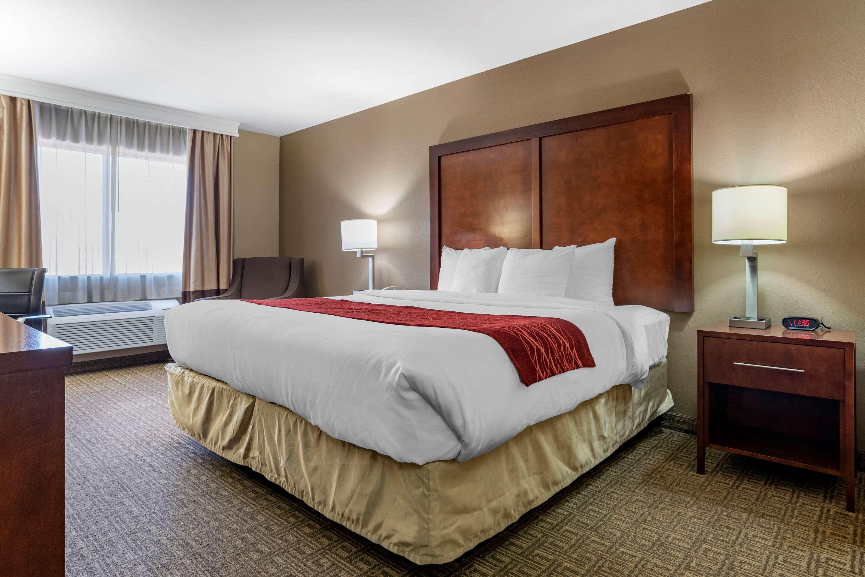 Comfort Inn & Suites Leeds I-20 Εξωτερικό φωτογραφία